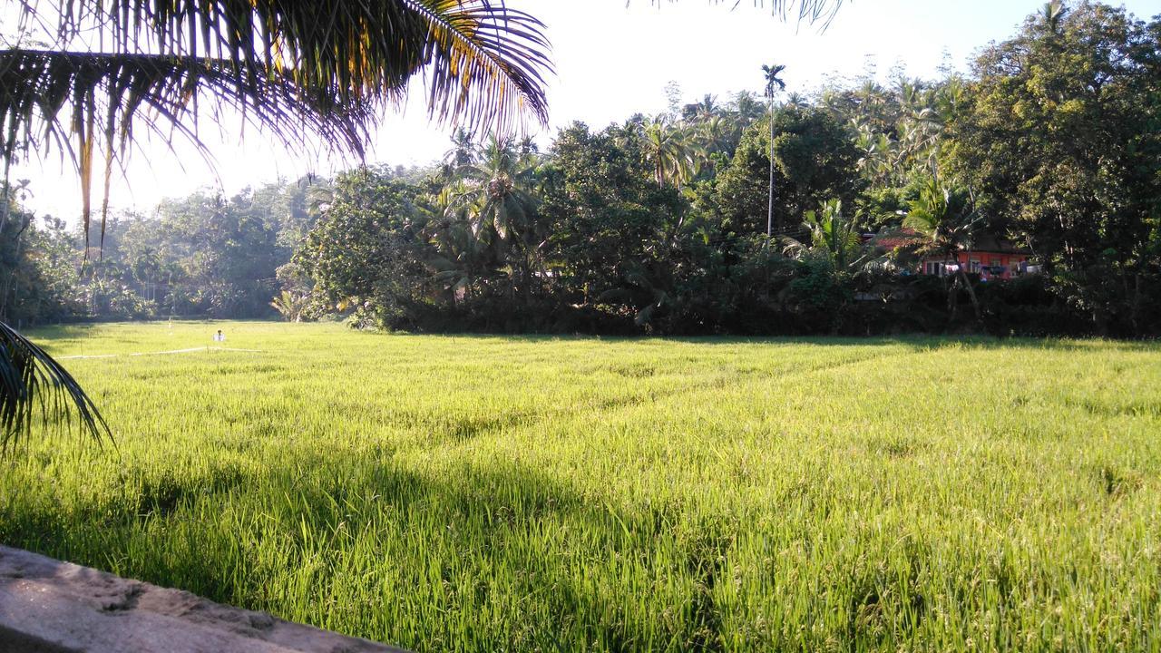 Villa Paddy Fields View Mirissa Kültér fotó